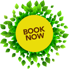 book now